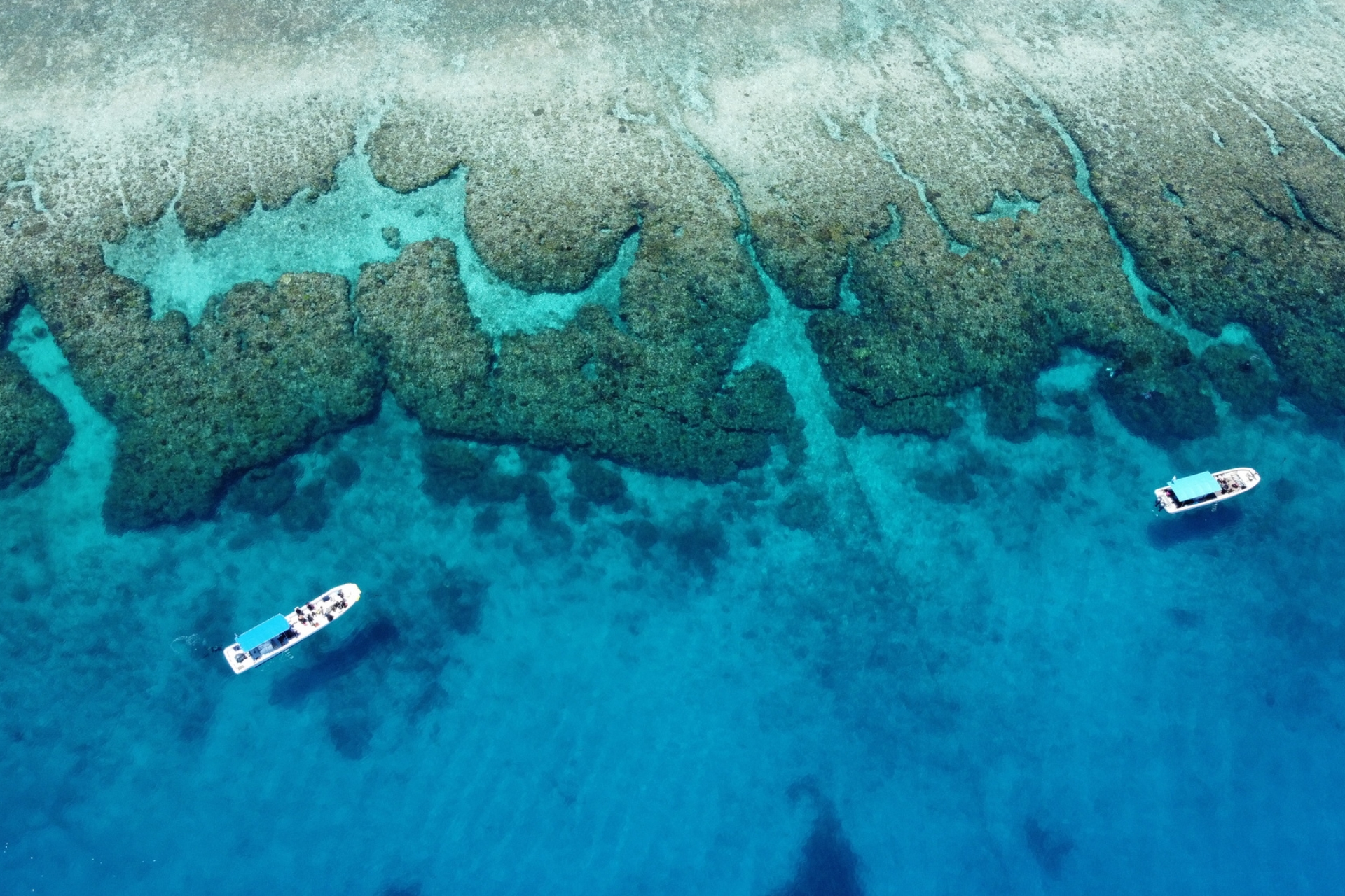 沖縄本島/離島にも対応可能